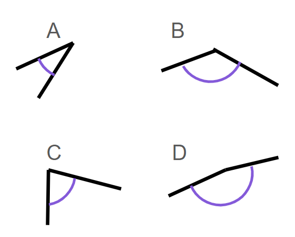 Angles In A Triangle Worksheet Ks2 Tes Geometry Maths Differentiated
